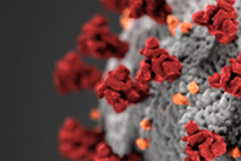 Closeup image of coronavirus.