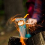 Image of someone roasting a marshmallow over a campfire.