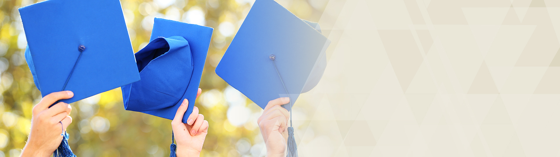 Homepage graphic of graduation hats.